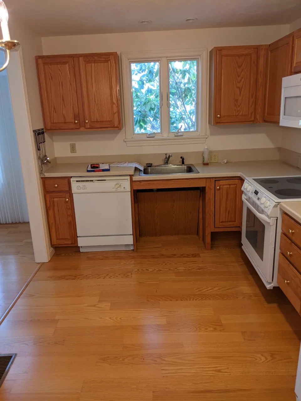 Before: oak cabinets and a white dishwasher.
