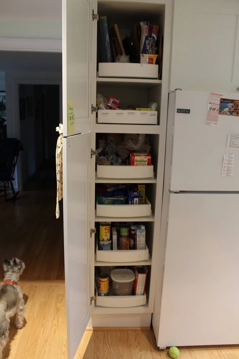 Tall pantry open, with roll-out trays.