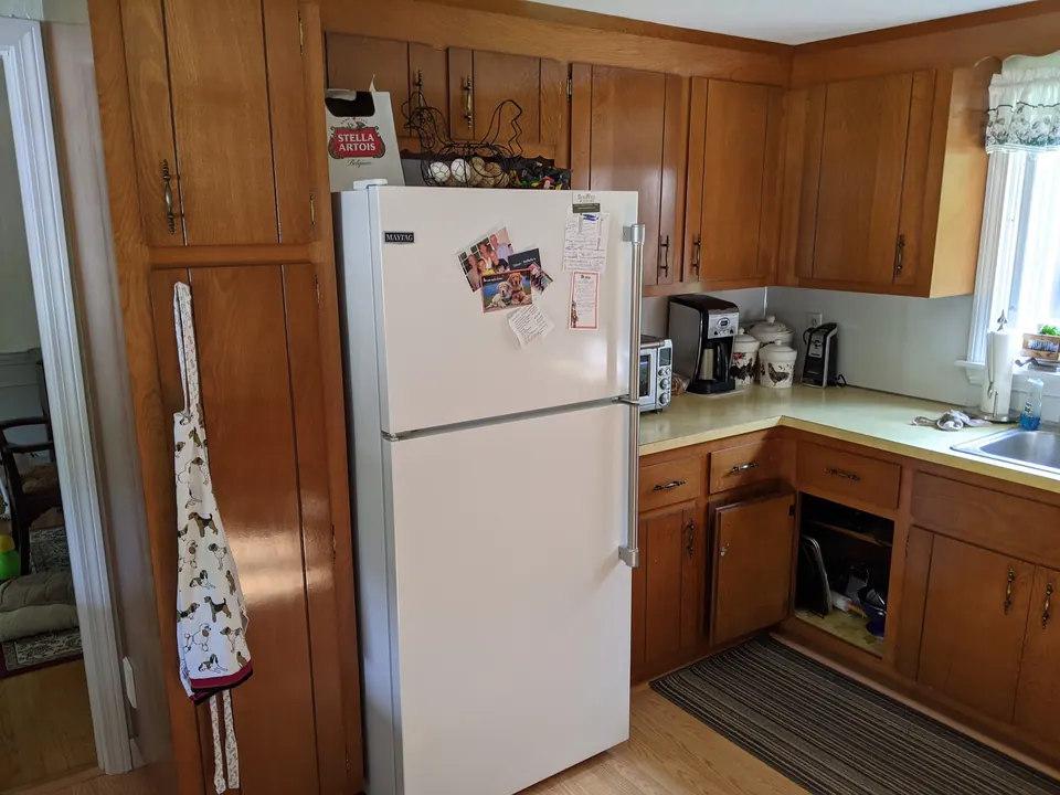Before: oak cabinets and a white refrigerator.